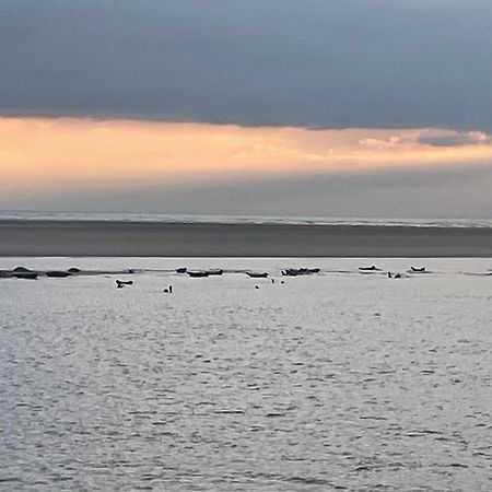 Gite Chti Picard Parking Prive Gratuit Et 100M De La Plage Berck Zewnętrze zdjęcie